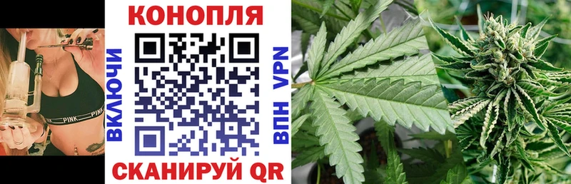 Каннабис план Глазов